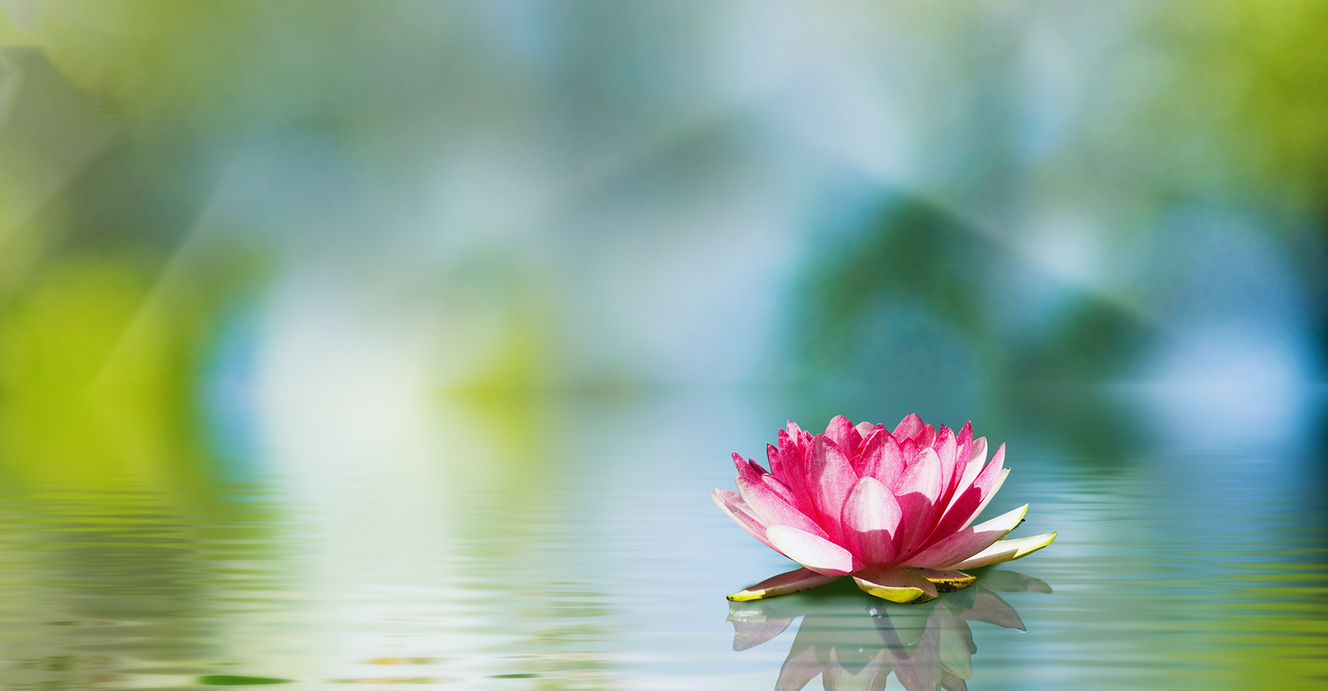 Lotus Medicine health＆beauty clinic 健やかに、豊かに、美しく。